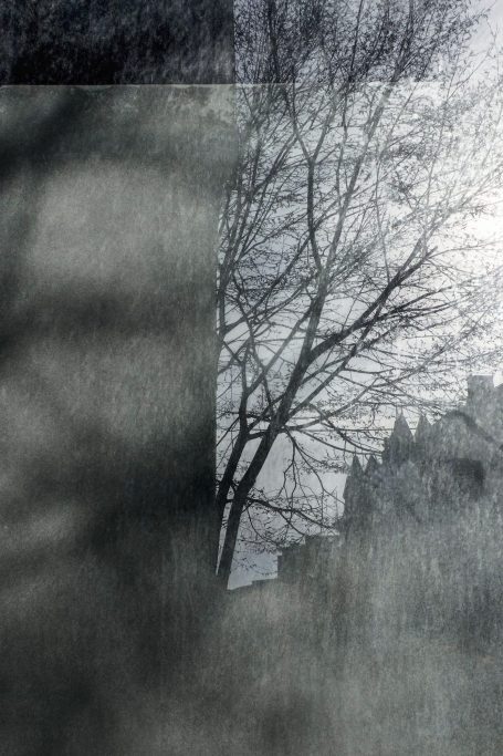 Charlotte Desnoë Durande
Une exploration sensible du vivant, de l'absence et des formes
