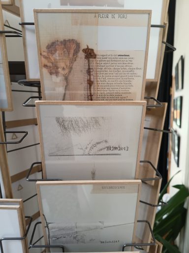 Les fleurs bleues de la peau : L’exposition immersive de Charlotte Desnoë Durande Documents et œuvres d'art exposés sur un présentoir, plusieurs en superposition.