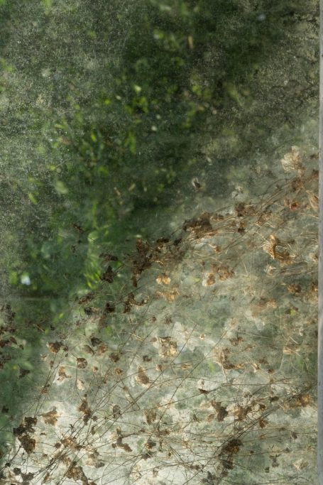 Charlotte Desnoë Durande
Une exploration sensible du vivant, de l'absence et des formes